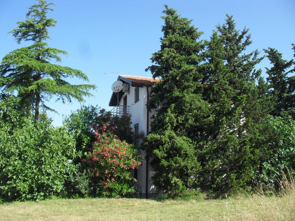 Apartment Lana Privlaka  Exteriér fotografie